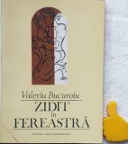 Zidit in fereastra Valeriu Bucuroiu