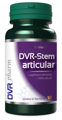 Dvr stem articular 60cps foto