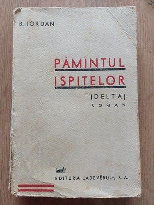Pamintul ispitelor DELTA - B. Iordan foto