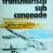 Ion Ruse - Transmarisca sub canonade