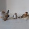 Lot 3 pasari - figurine ceramice, hand-made, lucrate manual