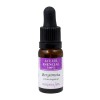 Ulei Esential de Bergamota, 10 ml, Nirvana Spa
