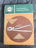 Castrarea animalelor - Anatol Grintescu / R2P1F, Alta editura