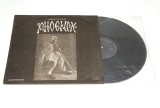 Phoenix &ndash; Mugur De Fluier - disc vinil vinyl LP