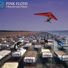 A Momentary Lapse Of Reason | Pink Floyd