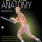 Tennis Anatomy