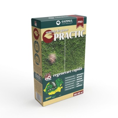 Seminte gazon Practic, 0.75 kg foto