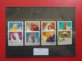 1963 - PASARI DE RASA