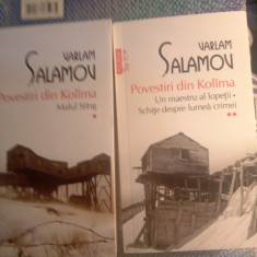 Varlam salamov povestiri din Kolîma 2 vol1: malul stâng,vol 2: un maestru al