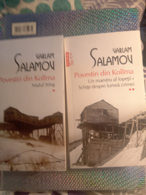 Varlam salamov povestiri din Kol&amp;icirc;ma 2 vol1: malul st&amp;acirc;ng,vol 2: un maestru al foto