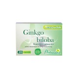 Cumpara ieftin Ginkgo biloba 40mg, 20 capsule, Naturalis