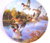 FARFURIE DECORATIVA PORTELAN BAVARIA BRADEX EDITIE LIMITATA RATE SALBATICE IN ZBOR