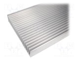 Radiator extrudat cu aripioare STONECOLD 1000mm x 262mm x 60mm brut