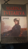 Proza - Marina Tvetaieva