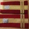 C2 9 - Grade militare - locotenent colonel apararea locala