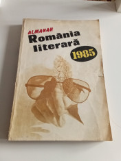 ALMANAH ROM&amp;Acirc;NIA LITERARĂ 1985 foto
