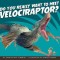 Do You Really Want to Meet Velociraptor?