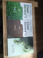 Dan C. Mihailescu - Viata literara I + Viata literara II. Ianuarie - Decembrie 2006 + Idei cu zimti. Viata literara III, ianuarie 2007 - iulie 2008