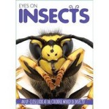 Eyes On Insects