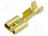 Terminal tip plat, pentru surub {{Orificiu pentru &amp;#351;urub}}, BM GROUP - BM 02290