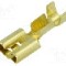 Terminal tip plat, pentru surub {{Orificiu pentru &amp;#351;urub}}, BM GROUP - BM 02290