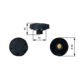 Gates buson, vas expansiune