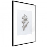 Cumpara ieftin Poster - Ginger Rhizome, cu Ramă neagră, 30x45 cm