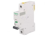 &Icirc;ntrerupător de supracurent 25A 1P 230V B