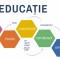 Autocolant scoli - Educatie Hexagoane - 216x125 cm
