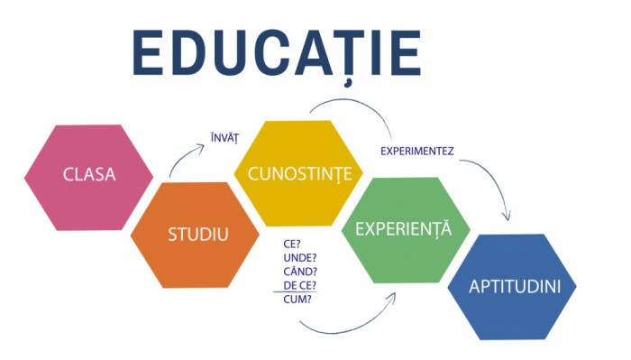 Autocolant scoli - Educatie Hexagoane - 216x125 cm