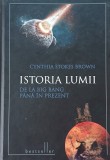 Istoria lumii. De la Big Bang pana in prezent - Cynthia Stokes Brown (cateva insemnari)