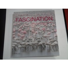 FASCINATION - INGO ARNDT - ALBUM