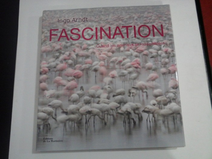 FASCINATION - INGO ARNDT - ALBUM