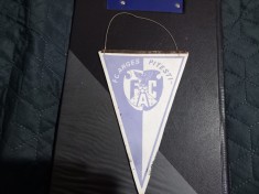 Fanion FC Arges - U Craiova foto