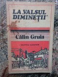 La Valsul diminetii - Calin Gruia