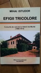 Mihai Istudor - Efigii Tricolore. Cursurile de vara de la Valenii de Munte 1908-1914 (Nicolae Iorga Prahova cultura nationala universitatea populara)