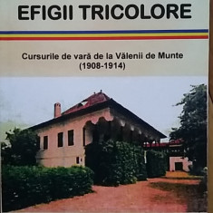 Efigii Tricolore (Cursurile de vara Valenii de Munte 1908-1914) Nicolae Iorga