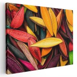Tablou canvas coji fructe legume pictate manual, multicolor 1373 Tablou canvas pe panza CU RAMA 50x70 cm