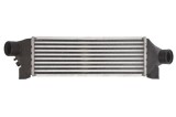 Radiator intercooler FORD TRANSIT caroserie (FA_ _) (2000 - 2006) THERMOTEC DAG011TT