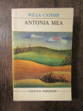 ANTONIA MEA-WILLA CARTHER