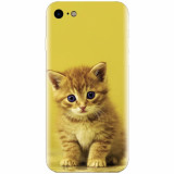 Husa silicon pentru Apple Iphone 6 / 6S, Baby Kitten