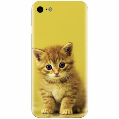 Husa silicon pentru Apple Iphone 6 Plus, Baby Kitten foto
