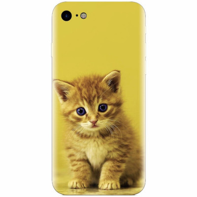 Husa silicon pentru Apple Iphone 7, Baby Kitten foto