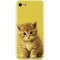 Husa silicon pentru Apple Iphone 6 Plus, Baby Kitten