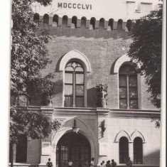 CPIB 21353 CARTE POSTALA - TIMISOARA. MUZEUL REGIONAL, RPR