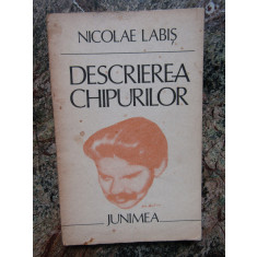 DESCRIEREA CHIPURILOR-NICOLAE LABIS