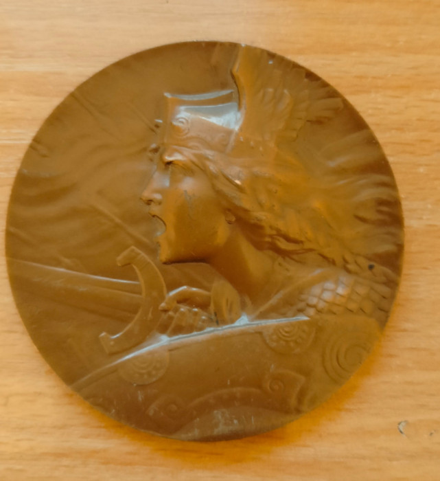 Medalie pentru identificat - Franta, 113 gm, 63 mm