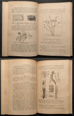 PATOLOGIE VEGETALA Boli Bacteriene, Criptogamice Descriere si Combatere Botanica foto