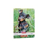 CAIET A5 36 FILE, TIP I, HARTIE 80G/MP FSC MIX, MOTIV CATS DOGS, Herlitz