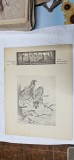 Cumpara ieftin REVISTA VANATORILOR ANUL 1946 LUNA MARTIE